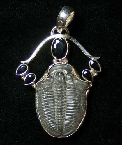 Sterling Silver Elrathia Trilobite Pendant #8585